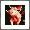 Flying Pigs V1 Framed Print