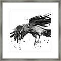 Flying Raven Watercolor Framed Print