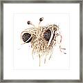 Flying Spaghetti Monster Framed Print