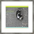 Flying With Sose From The Park Altered Cats Cyprus Framed Print