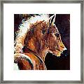 Foal Chestnut Filly Painting Framed Print