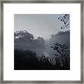 Foggy Dawn - Holmdel Park Framed Print