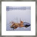 Foggy Day At The Pond Framed Print