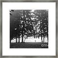 Foggy Day Framed Print