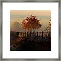 Foggy Field In The Morning Framed Print