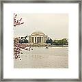 Foggy Morning At The Jefferson Memorial Framed Print