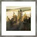 Foggy Sunrise Framed Print