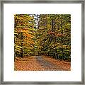 Foliage Road Framed Print