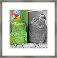Get More Color In Your Life Framed Print