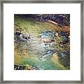 Follow The Leader #zion Framed Print