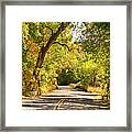 Follow The Yellow Lines Framed Print
