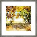 Follow Your Heart Framed Print