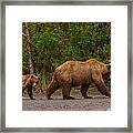Following Mom Closely Framed Print