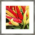 Food Art - Red And Yellow Framed Print