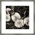 Food For Thought In Tones Of Dark Brown Framed Print