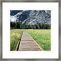 Footpath In Yosemite National Park Framed Print