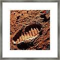 Footprint On Mars Framed Print