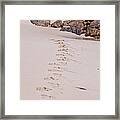 Footprints In The Sand Framed Print