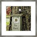 For Rent Framed Print