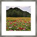 For The Beauty Of The Earth Framed Print