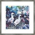 Foraging Ducks Framed Print