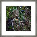 Forest Bike Framed Print