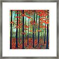 Forest Dawn Framed Print
