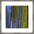 Forest Dreams Framed Print