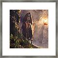 Forest Ghost Framed Print