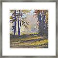 Forest Glow Framed Print