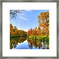 Forest Golden Green Framed Print