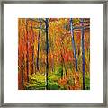 Forest In The Fall Framed Print