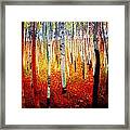 Forest Of Beech Trees Framed Print