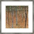 Forest Of Beech Trees Framed Print