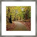 Forest Pathway Framed Print