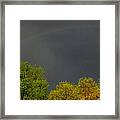 Forest Rainbow Framed Print