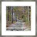 Fork In The Road Framed Print