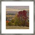 Fort Stewart Autumn Landscape Framed Print