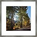 Feels Like Fall Framed Print