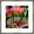 Four Seasons Of Flowers Vert Framed Print