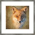 Foxy Framed Print