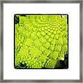 Fractal Cabbage Framed Print