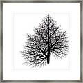 Fractal Essence Of A Tree Framed Print