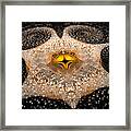 Fractal Galaxy With Sparkling Stars Gold And White Framed Print