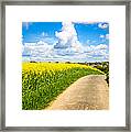 French Countryside Framed Print