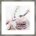 French Macaroons Framed Print