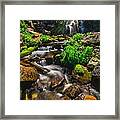 Fresh And Free Flowing Framed Print