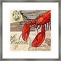Fresh Catch Lobster Framed Print