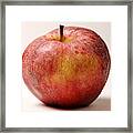 Fresh Fruit, Gala Apple Framed Print