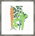 Fresh Vegetable Ingredients Framed Print